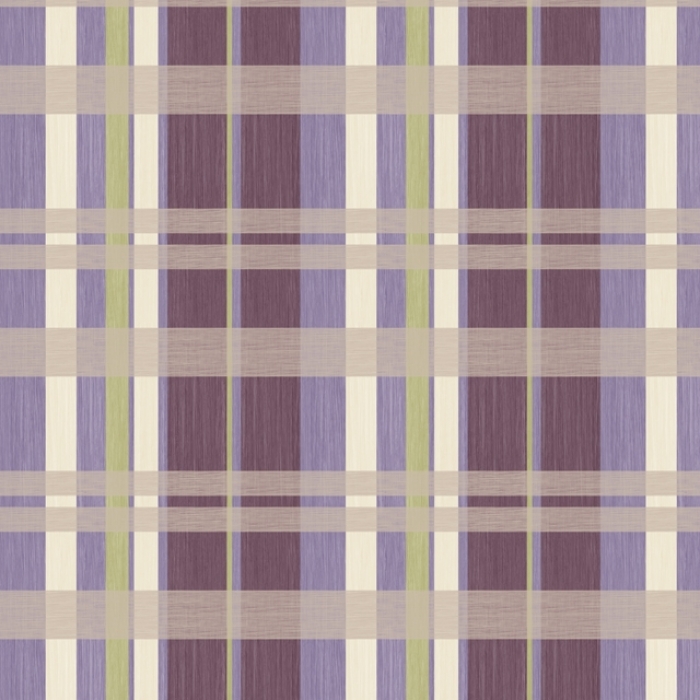 extraimage2